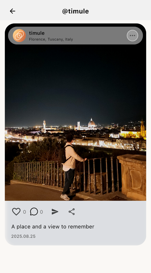 A Timule Memory overlooking Florence at night